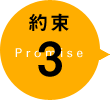 3 Promise